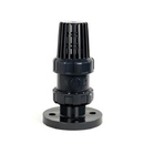 True Union Foot Valve(Flanged End)